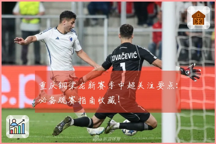 重庆铜梁龙新赛季中超关注要点：必备观赛指南收藏！