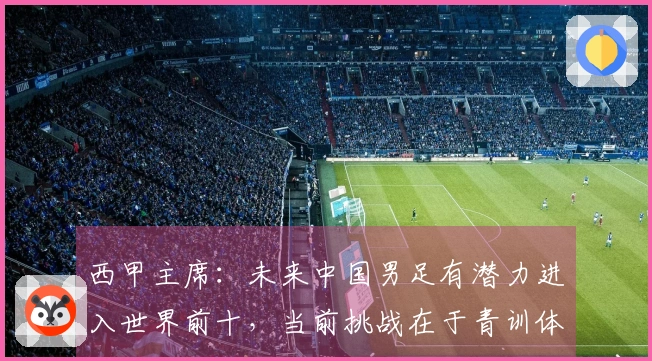 西甲主席：未来中国男足有潜力进入世界前十，当前挑战在于青训体系的竞争力不足